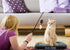 Cat Feather Toy NFL DALLAS COWBOYS FOOTBALL FIELD CAT SCRATCHER TOY with CATNIP Filled Plush FOOTBALL Toy & Feather Cat Toy hanging, with Jingle B...
