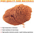 Front Ceramic Brake Pads Set for 2016-1999 Yamaha V-Star 250, 650, 950, Front Brake Pad Set...