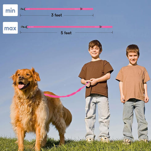 Mile High Life | Bungee Dog Leash | Gentle Pull Training Lead | Soft Comfort Texture | 3-5 Feet | for Dogs/Cats Under 20 lb (Pink)...
