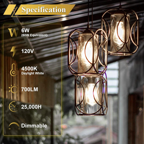 DiCUNO LED Edison Bulb 60 Watt Equivalent, Daylight White 4500K, Dimmable Edison Bulbs ST64, Antique LED Filament Bulb for Kitchen Lighting, 700 L...