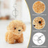Anboor Small Stuffed Animals—4.8 Inch Cute Puppy Dog Plush Stuffed Animal with Keychain for Party Favors (Light Brown)...