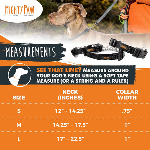 Mighty Paw Martingale Dog Collar 2.0 | Trainer Approved Limited Slip Collar with Stainless Steel Chain & Heavy Duty Buckle - Modified Cinch Collar...