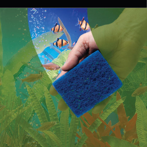 Penn-Plax WZP1 Wizard Grime Scrubber Pad – for Glass Tanks – 3” x 4”...