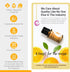 Rocky Mountain Oils Orange Essential Oil - 100% Pure and Natural Aromatherapy Essential Oils for Diffusers, Topical, and Home - 15ml...