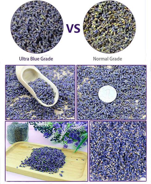 TooGet Fragrant Lavender Buds Natural Dried Flowers Wholesale, Ultra Blue Grade - 1 Pound...