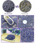TooGet Fragrant Lavender Buds Natural Dried Flowers Wholesale, Ultra Blue Grade - 1 Pound...