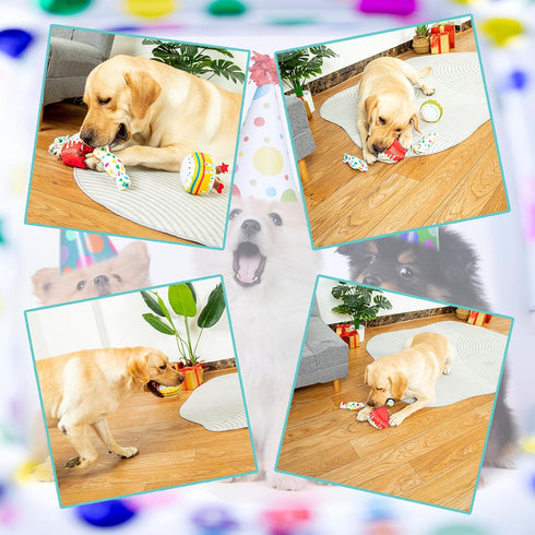 Dog Birthday Toy, Dog Birthday Cake Toy, Dog Birthday Gifts, Squeaky Plush Birthday Dog Toys for Small Medium and Large Dogs...
