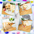 Dog Birthday Toy, Dog Birthday Cake Toy, Dog Birthday Gifts, Squeaky Plush Birthday Dog Toys for Small Medium and Large Dogs...