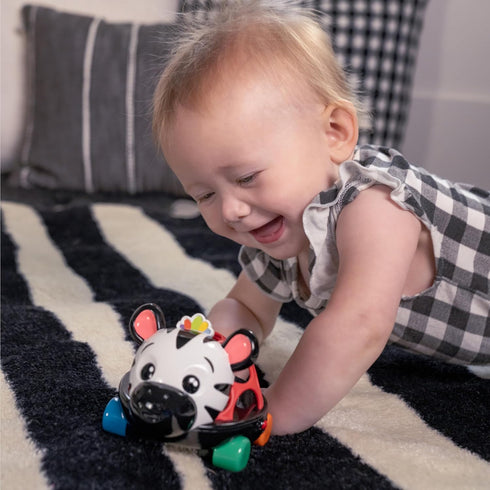 Baby Einstein Curious Car Zen Oball Toy Car & Rattle, Light Up, Ages 3 Months+, Zen The Zebra...