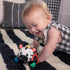 Baby Einstein Curious Car Zen Oball Toy Car & Rattle, Light Up, Ages 3 Months+, Zen The Zebra...