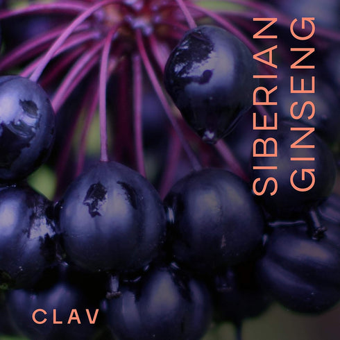 CLAV® Siberian Ginseng - 900mg Eleuthero Root Powder - Energy Supplement - Reduction of Tiredness & Fatigue - 60 Ginseng Capsules - Made in German...