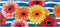 Evergreen Sassafras Spring Gerbera Bouquet Interchangeable Entrance Doormat | Indoor and Outdoor | 22-inches x 10-inches | Non-Slip Backing | All-...