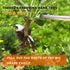SHANFEEK Grass Hoe Weed Puller Weeding Artifact Uprooting Weeding Tool for Garden Hand Tool High-Strength Steel with Solid Wood Handle (Brown)...