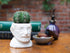 The Unemployed Philosophers Guild Sigmund Freud Bust Ceramic Planter...