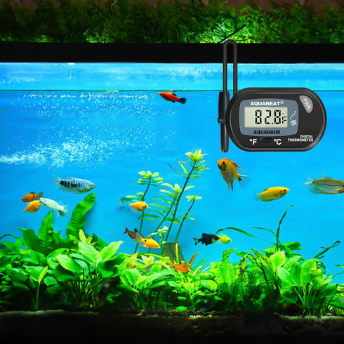 AQUANEAT 2 Pack Aquarium Thermometer, Fish Tank Thermometer, Digital Thermometer, Reptile Thermometer, Terrarium Water Temperature Test, with Larg...