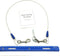 Dog Training Tie Out Cable, 3 Ft Begging Jumping Destructive Chewing Housetraining Counter Surfing Teething Puppy Potty Training Tether Chew Proof...