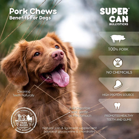 SUPER CAN BULLYSTICKS Half Pig Ears for Dogs (15 Count) All Natural Dog Treats Pig Ears - Healthy Dog Treats - Pig Ears for Dogs Large - Natural D...