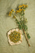 Tansy Herb (Tanacetum vulgare) - Health Embassy - 100% Natural (50g)...