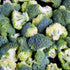 Earthborn Elements Broccoli Extract 200 Capsules, Pure & Undiluted, No Additives...