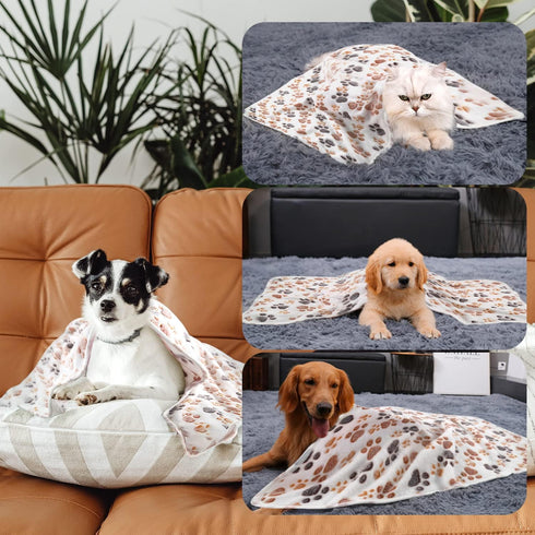 3 Pack Cat and Dog Blanket Soft & Warm Fleece Flannel Pet Blanket, Great Pet Throw for Puppy, Small Dog, Medium Dog & Large Dog Small(23"x15")...