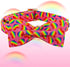 Elegant little tail Dog Collar, Rainbow Dog Collar Pet Collar LGBT for Pride Month Pet Collar Dog Girl Boy Adjustable Dog Collar for Large Dogs...