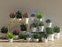 Mini White Terracotta Clay Flower Pots 2 inch with Drainage Holes for for Tiny Cactus Herb lithop, Small Succulent Planter Nursery Plant Pot for H...
