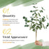 TOPHOUSE 6pcs Artificial Eucalyptus Leaves Stems Bulk 24.8” Silver Dollar Eucalyptus Artificial Greenery Silk Eucalyptus Plant for Home Wedding Fa...
