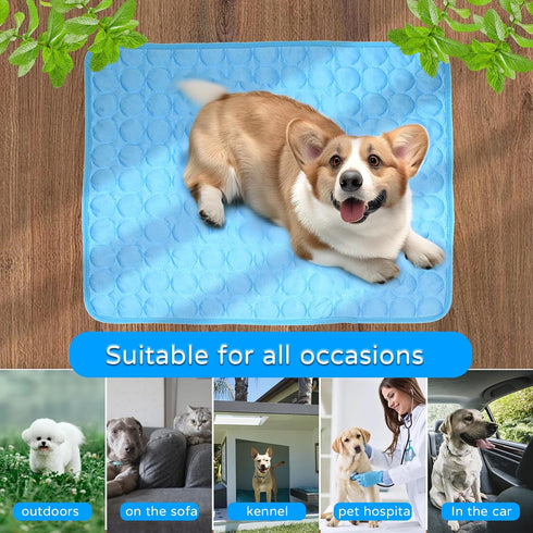 Portable Dog Cooling Mat, Washable Self-Cooling Ice Silk Cooling Mat, Pet Reusable Bed Mat for Indoor & Outdoor Pet Beach Essentials...