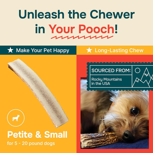 Split Elk Antler for Small Dogs- Grade A Long Lasting Chew for Aggressive Chewers - Elk Antlers Dog Antler Chews - Real, Organic Treats & Toys - N...