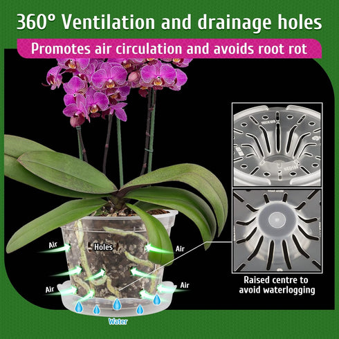 REMIAWY Orchid Pot, 8 Pack Orchid Pots with Holes and Saucers, 5.5 Inch Clear Orchid Pots for Repotting, Plastic Flower Plant Pot Indoor Outdoor, ...