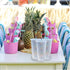 Generic 24 oz Reusable Color Changing Rainbow Cup with Rainbow Straw and Lid 4 Pack,Multicolor...
