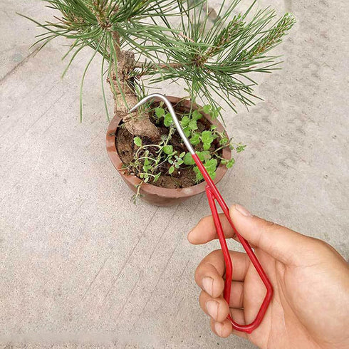 SOONHUA Bonsai Root Hook, 8.27" Stainless Steel Single Root Claw to Loosen Soil Change Pot Remove Rotten Root Gardening Tools...