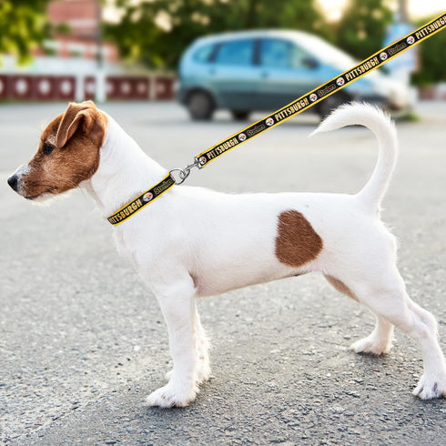 NFL PET Leash Pittsburgh Steelers Dog Leash, Large Football Team Leash for Dogs & Cats. A Shiny & Colorful Cat Leash & Dog Leash Licensed by The N...