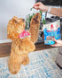 PLATO Fish Dog Treats Variety Pack: (1) Small Bites Salmon 2.5oz, (1) Mini Thinkers Salmon 3oz, (1) Baltic Herring 3oz...