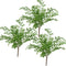 18" Artificial Soft Plastic Fern - Package of 3 (Maidenhair)...