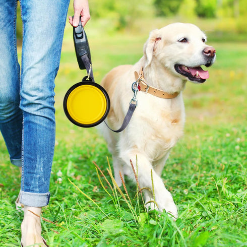 3 Collapsible Silicone Dog Bowl, Foldable Expandable Cup Dish for Small Pet Cat Food Water Feeding Portable Travel Bowl, Free Pet ID-Tag (S/Yellow...