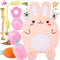 Pink Puppy Toys - 9 Pack Puppy Chew Toys for Teething, Interactive Dog Toys for Puppies, Small Dog Toys with Squeaky Toys, Treat Ball and Ropes...