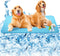 SOMOYA Dogs Self Cooling Mat Pet Cool Pads Blanket Hot Weather Sleeping Kennel Mat,Washable Ice Silk Sleep Mat Pad Non-Toxic Breathable for Large ...