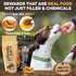 BRUTUS & BARNABY Training Treats for Dogs - Peanut Butter & Honey - All-Natural Healthy Low Calorie Vegetarian Treat - Great to Use for Rewards in...