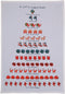 Mistletoe & Co. A Cat's Christmas 100% Cotton Kitchen Tea Towel, 18" x 26"...