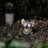 Solar Garden Koala Decoration | Outdoor Yard Decor - Lawn Ornaments | Solar Decorative Lights for Patio, Balcony, Deck | Weather Resistant - LED |...