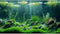 Aquarium Background Aquatic Plants Rocks Moss Fish Terrarium Background Balanced Underwater Tropical Style Landscape Aquarium Backdrop Amazing Fis...