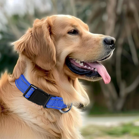 Durable Reflective Nylon Dog Collar with Adjustable Safety Buckle, Suitable for Small, Medium, Large Dogs,Blue, M...