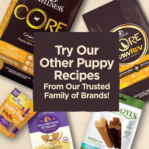 Wellness CORE Brainiac Puppy Soft Training Dog Treats (Previously Puppy Bites), Grain Free, Beef & Turkey, 5 Ounce Bag...