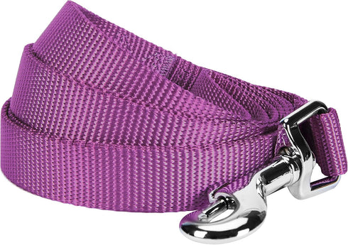 Blueberry Pet Essentials Durable Classic Dog Leash | Basic Nylon Dog Leash | 5ft. x 5/8" Small Dog Leash | Violet Dog Leash | Standard Dog Leashes...