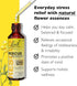 Bach RESCUE REMEDY Dropper 20mL, Natural Stress Relief, Homeopathic Flower Essence, Vegan, Gluten & Sugar-Free, Non-Habit Forming...