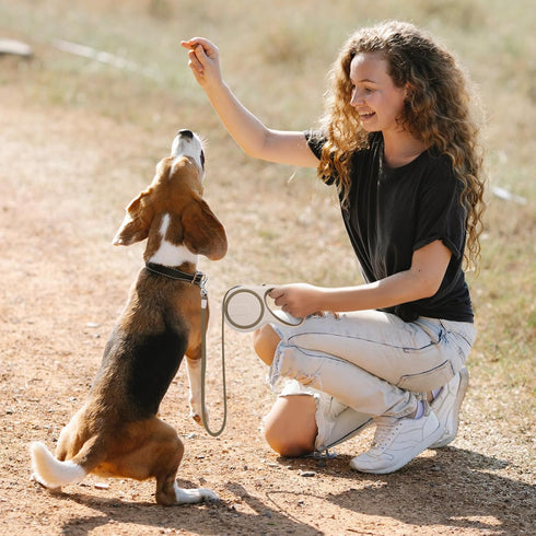 Segarty Retractable Leash Small Dog, 16ft Heavy Duty Walking Dog Leash for Medium Pet up to 44lb, Anti-slip Handle 360°Tangle-free Nylon Tape, One...