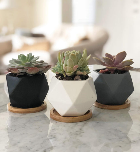 Modern Geometric Ceramic Succulent Pots 3" Planters with Drainage | Bamboo Tray | 3 Pack...