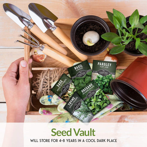 Survival Garden Seeds - Italian Herb Collection Seed Vault - Basil, Oregano, Thyme, Sage, Flat Leaf Parsley - Non-GMO Heirloom Varieties of Culina...