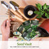 Survival Garden Seeds - Italian Herb Collection Seed Vault - Basil, Oregano, Thyme, Sage, Flat Leaf Parsley - Non-GMO Heirloom Varieties of Culina...